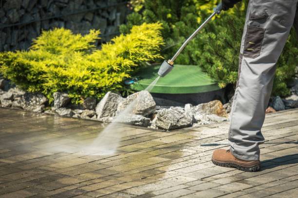 Animal Enclosure Cleaning in Russellville, AL
